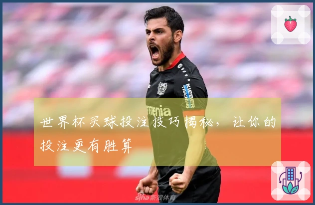 世界杯买球投注技巧揭秘，让你的投注更有胜算