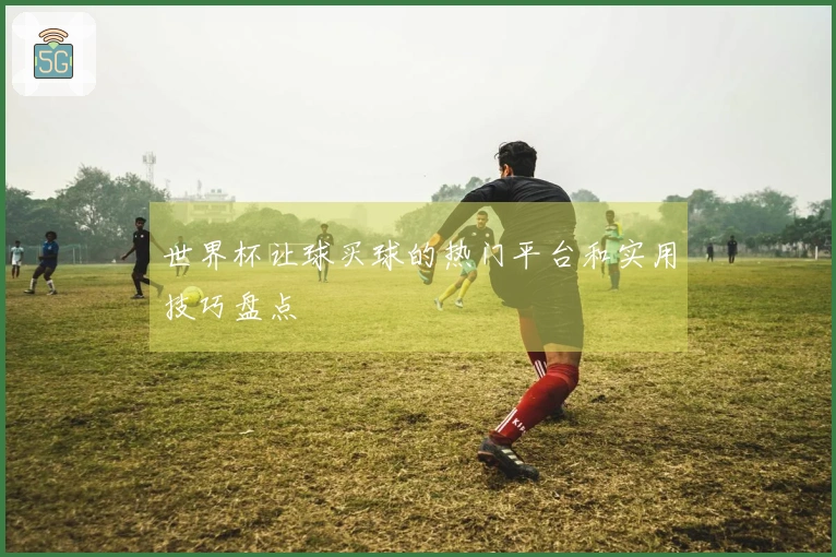世界杯让球买球的热门平台和实用技巧盘点