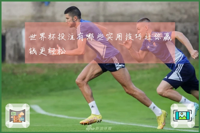 世界杯投注有哪些实用技巧让你赢钱更轻松