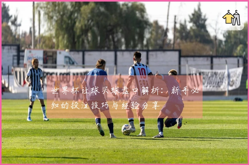 世界杯让球买球盘口解析：新手必知的投注技巧与经验分享