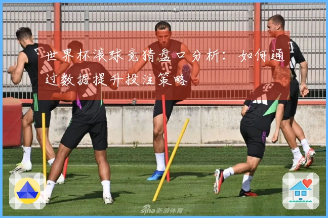 世界杯滚球竞猜盘口分析：如何通过数据提升投注策略