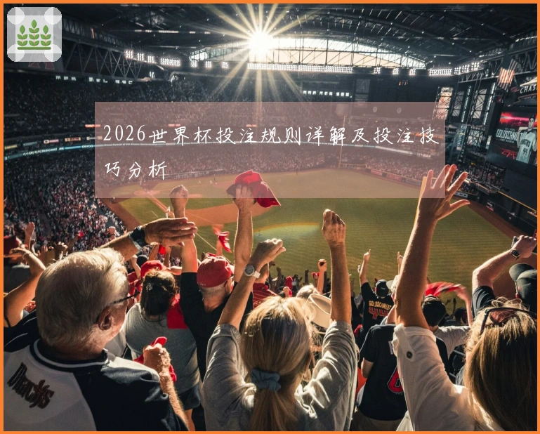 2026世界杯投注规则详解及投注技巧分析